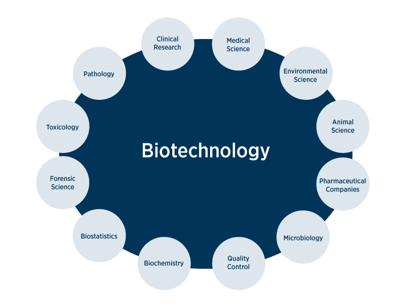 What Can You Do with a Biotechnology Degree? the white library