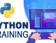 Taking Python Training From Infowiz